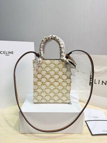 Celine Handbag 831