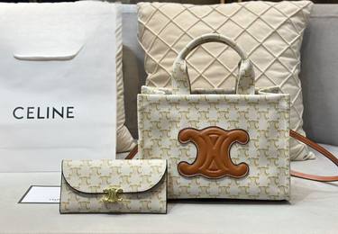 Celine Handbag 873