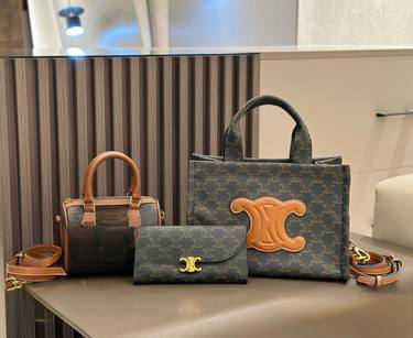 Celine Handbag 884