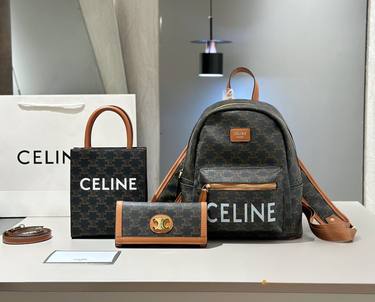 Celine Handbag 886