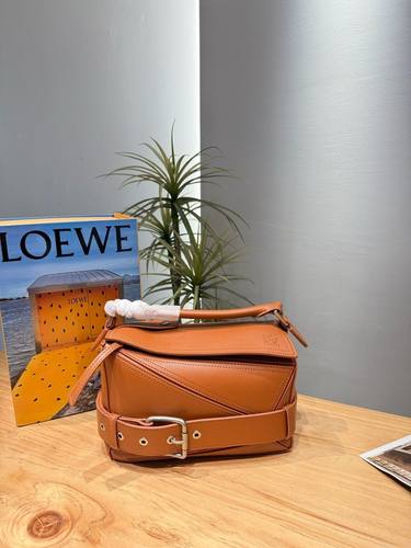 Loewe Handbag 021